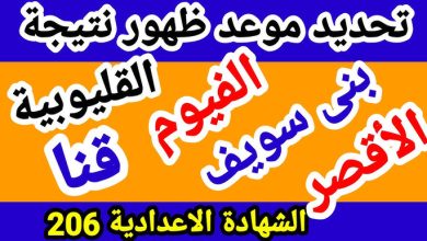 Photo of نتيجة الصف الثالث الإعدادي محافظة الدقهلية برقم الجلوس والأسم عبر الموقع الرسمي