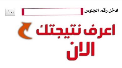 Photo of أستخراج نتيجه الصف الاول الثانوي الترم الاول 2026 بالأسم ورقم الجلوس عبر الموقع الرسمي