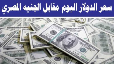 Photo of الآن سعر الدولار مقابل الجنيه المصري اليوم الثلاثاء 20/ 1/ 2026 في جميع البنوك والسوق السوداء