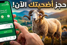 Photo of كيفاش تحجز كبش العيد أونلاين في الجزائر بسهولة عبر منصة أضاحي بلا تعب وبخطوات بسيطة