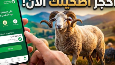 Photo of كيفاش تحجز كبش العيد أونلاين في الجزائر بسهولة عبر منصة أضاحي بلا تعب وبخطوات بسيطة