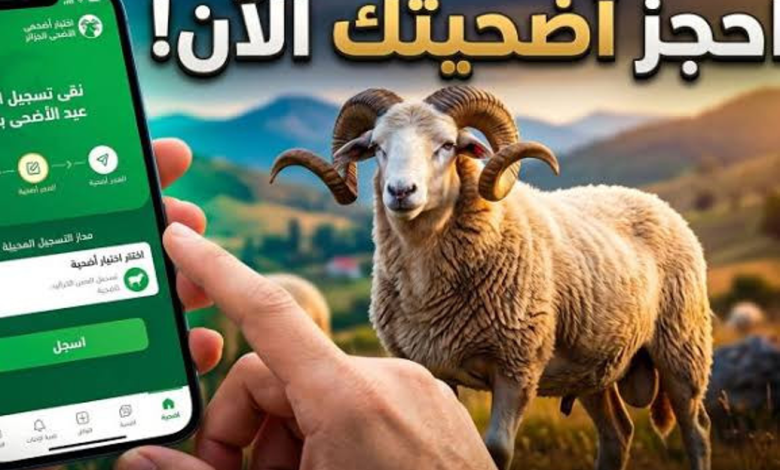 كيفاش تحجز كبش العيد أونلاين في الجزائر بسهولة عبر منصة أضاحي بلا تعب وبخطوات بسيطة