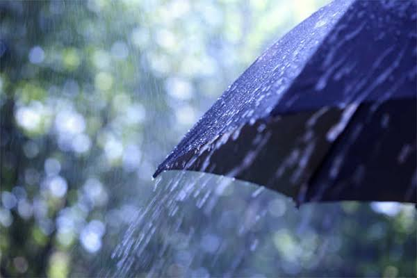 طقس الجزائر غدًا.. توقعات الأجواء الغائمة والأمطار الرعدية في مختلف المناطق
