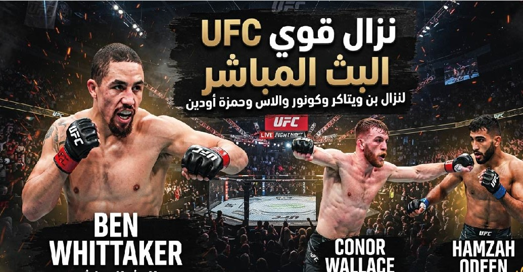 مشاهدة نزالات UFC اليوم.. بن ويتاكر وكونور والاس وحمزة أودين